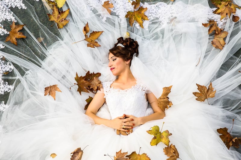 Nebula Bridal Gown